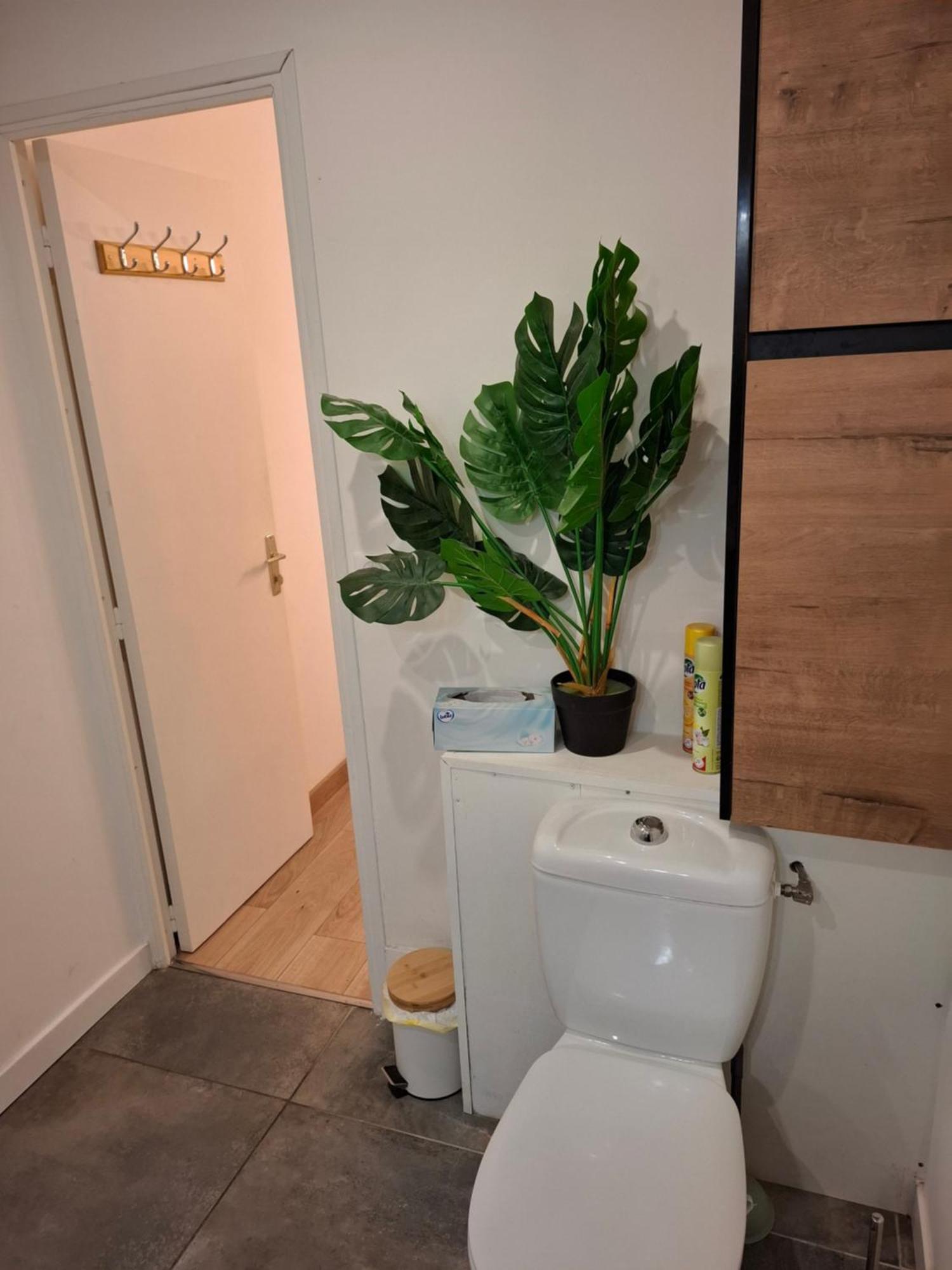 Studio La Casa De Planel Gare Saint Roch Montpellier Buitenkant foto